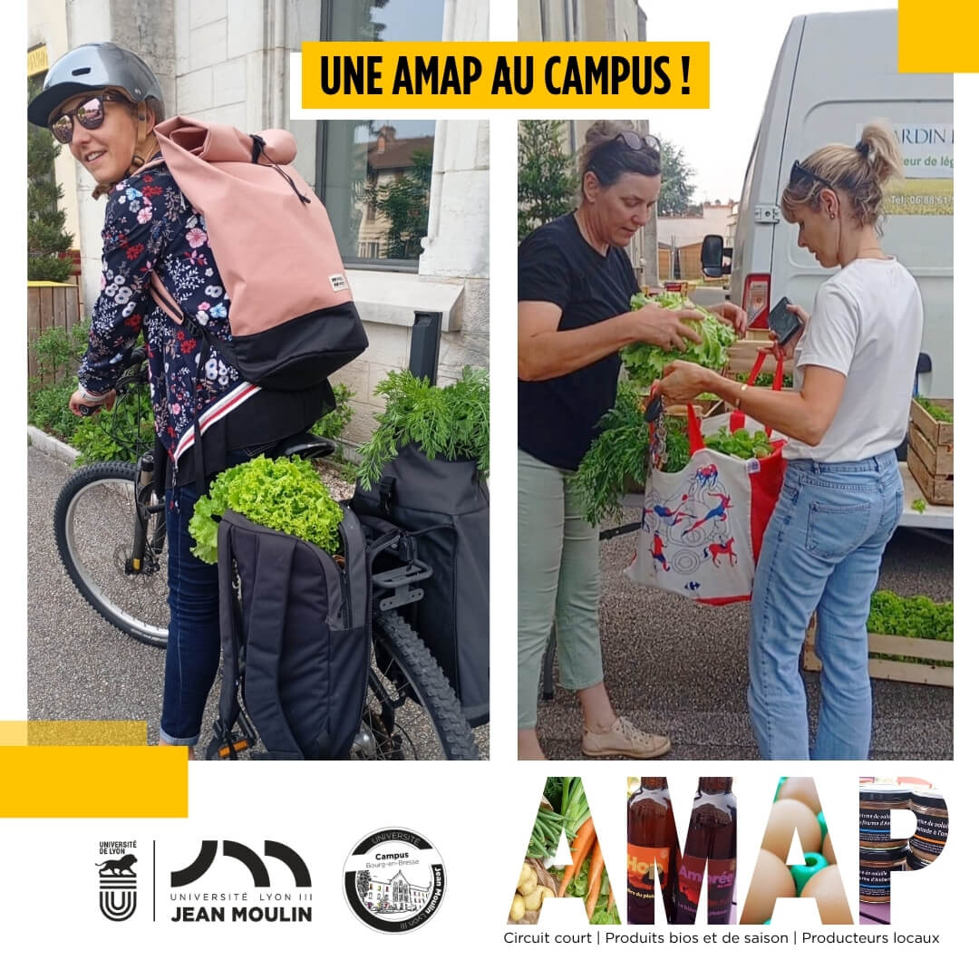 Amap photo