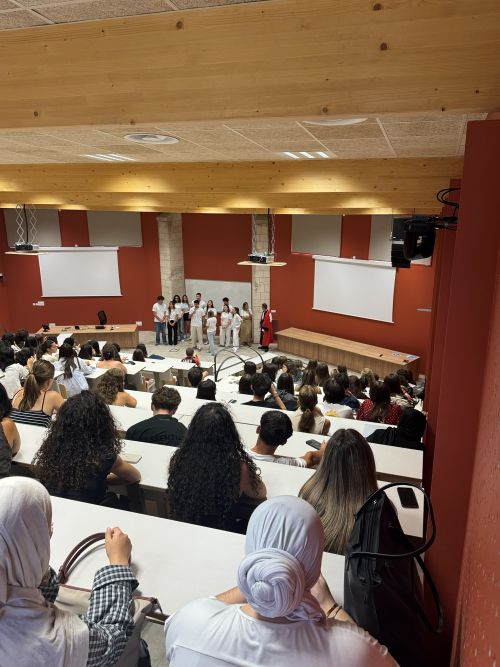 AMPHI